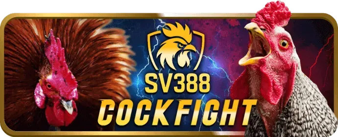 Hỗ trợ đa kênh an toàn 88bet